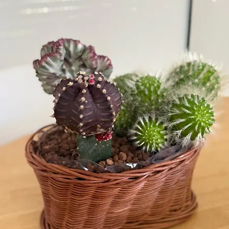 Lagarteira Сasa de vacaciones Sanxenxo