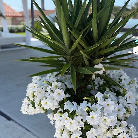 Casa vacanze Lagarteira *