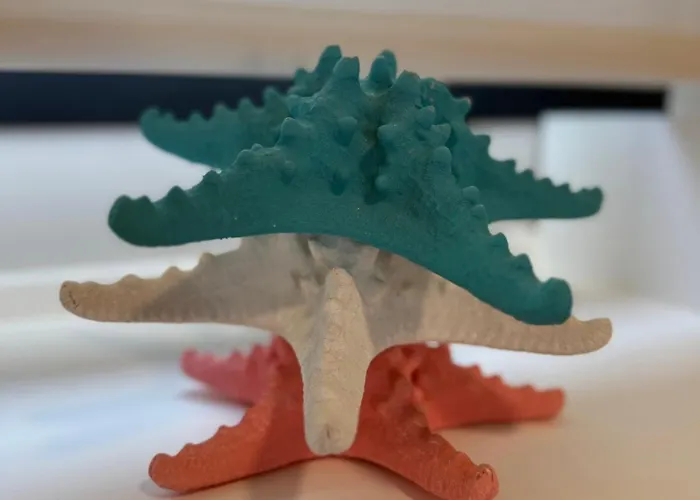 Casa de Férias Lagarteira *